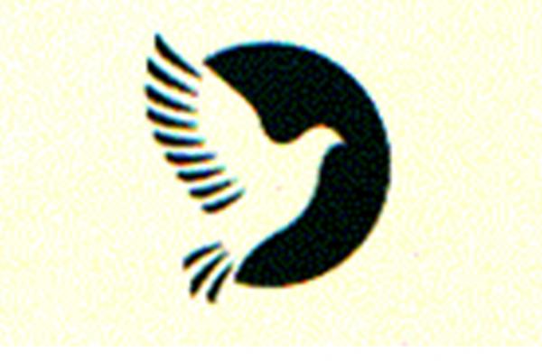Anixi Imports