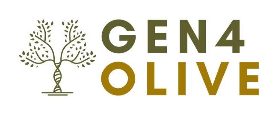 GEN4OLIVE - &Beta; &kappa;ύ&kappa;&lambda;&omicron;&sigmaf;