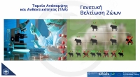 &Gamma;&epsilon;&nu;&epsilon;&tau;&iota;&kappa;ή &beta;&epsilon;&lambda;&tau;ί&omega;&sigma;&eta; &zeta;ώ&omega;&nu; - (&Tau;&Alpha;&Alpha;) &Tau;&alpha;&mu;&epsilon;ί&omicron; &Alpha;&nu;ά&kappa;&alpha;&mu;&psi;&eta;&sigmaf; &kappa;&alpha;&iota; &Alpha;&nu;&theta;&epsilon;&kappa;&tau;&iota;&kappa;ό&tau;&eta;&tau;&alpha;&sigmaf;